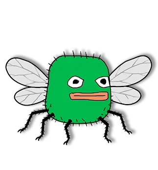 fly